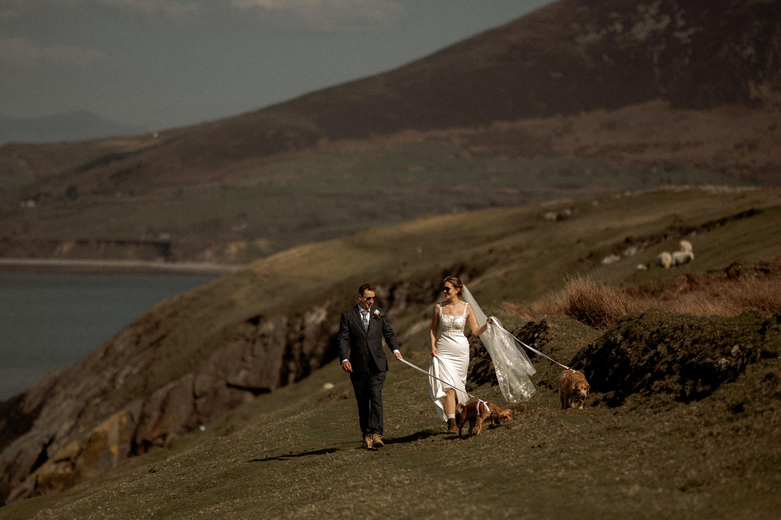 Snowdonia Elopements | bride wearing a white wedding dress and holding her veil and groom in a suit walking their two dogs with mountains in the background